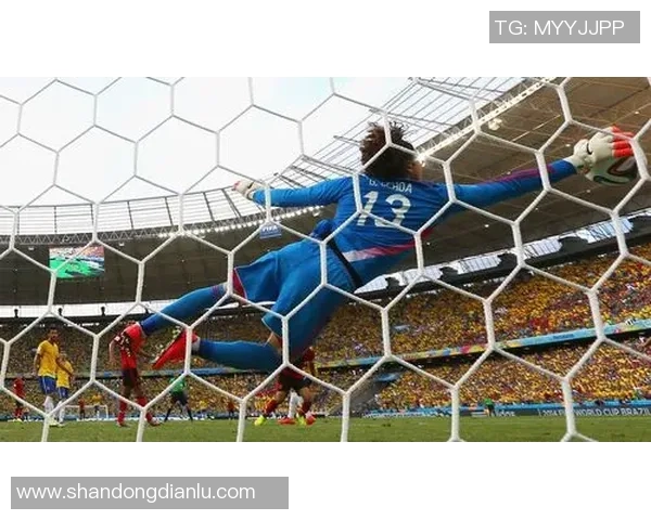 克鲁塞罗与竞技的精彩对决比分揭晓，赛季走势分析与精彩瞬间回顾