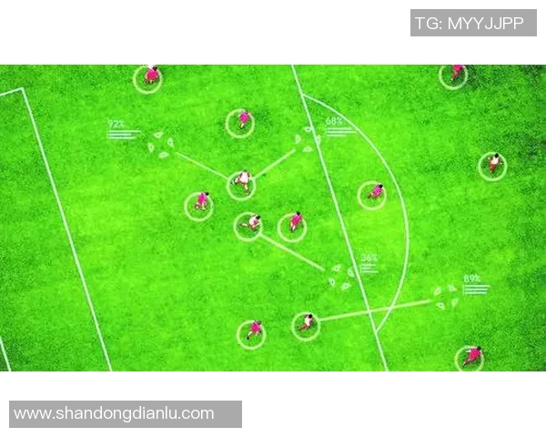 哈卡与埃比的对决分析及未来比赛结果预测