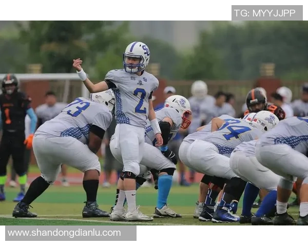 骑士与蓝网激战11月23日精彩对决分析与赛后点评 骑士与蓝网激战11月23日精彩对决分析与赛后点评