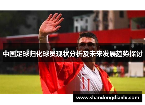 中国足球归化球员现状分析及未来发展趋势探讨