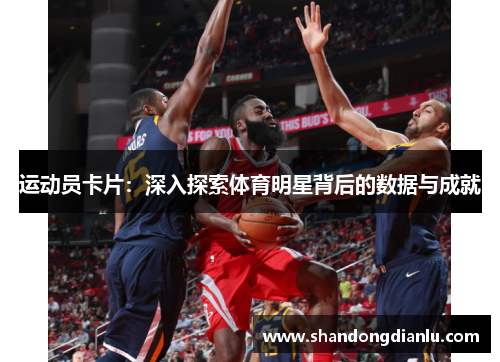 运动员卡片：深入探索体育明星背后的数据与成就