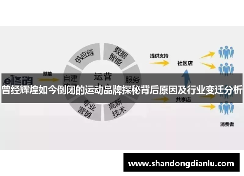 曾经辉煌如今倒闭的运动品牌探秘背后原因及行业变迁分析