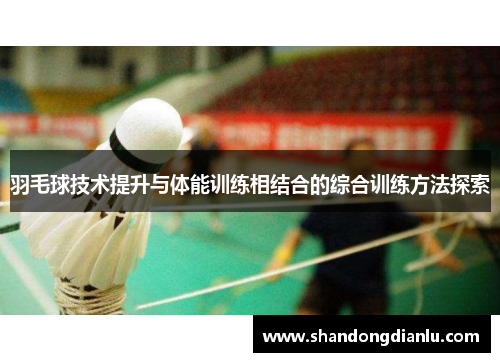 羽毛球技术提升与体能训练相结合的综合训练方法探索