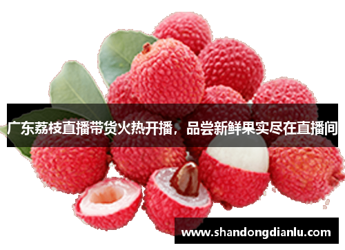 广东荔枝直播带货火热开播，品尝新鲜果实尽在直播间