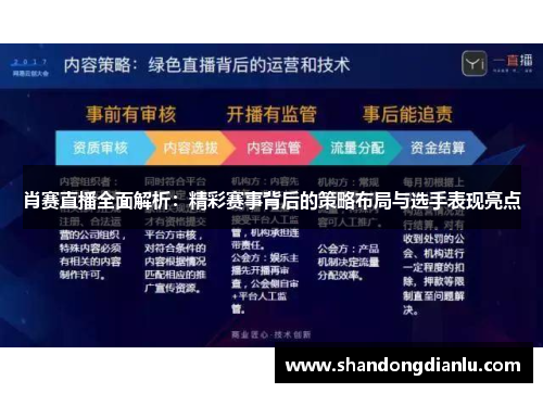 肖赛直播全面解析：精彩赛事背后的策略布局与选手表现亮点