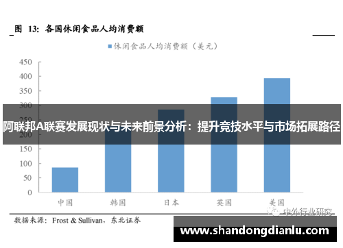 阿联邦A联赛发展现状与未来前景分析：提升竞技水平与市场拓展路径