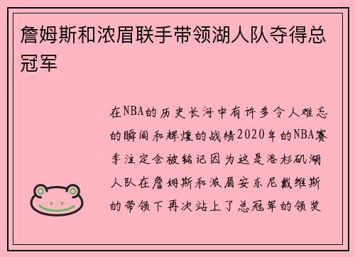 詹姆斯和浓眉联手带领湖人队夺得总冠军