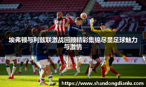 埃弗顿与利兹联激战回顾精彩集锦尽显足球魅力与激情
